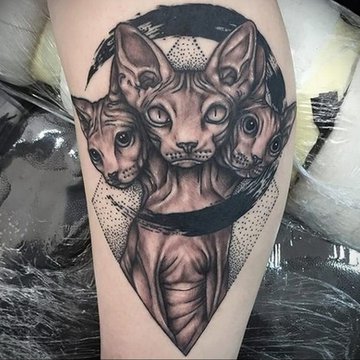 1617574057_sphinx-cat-tattoo-03_12_2019-006-cat-tattoo-tattoovalue_net_.jpg