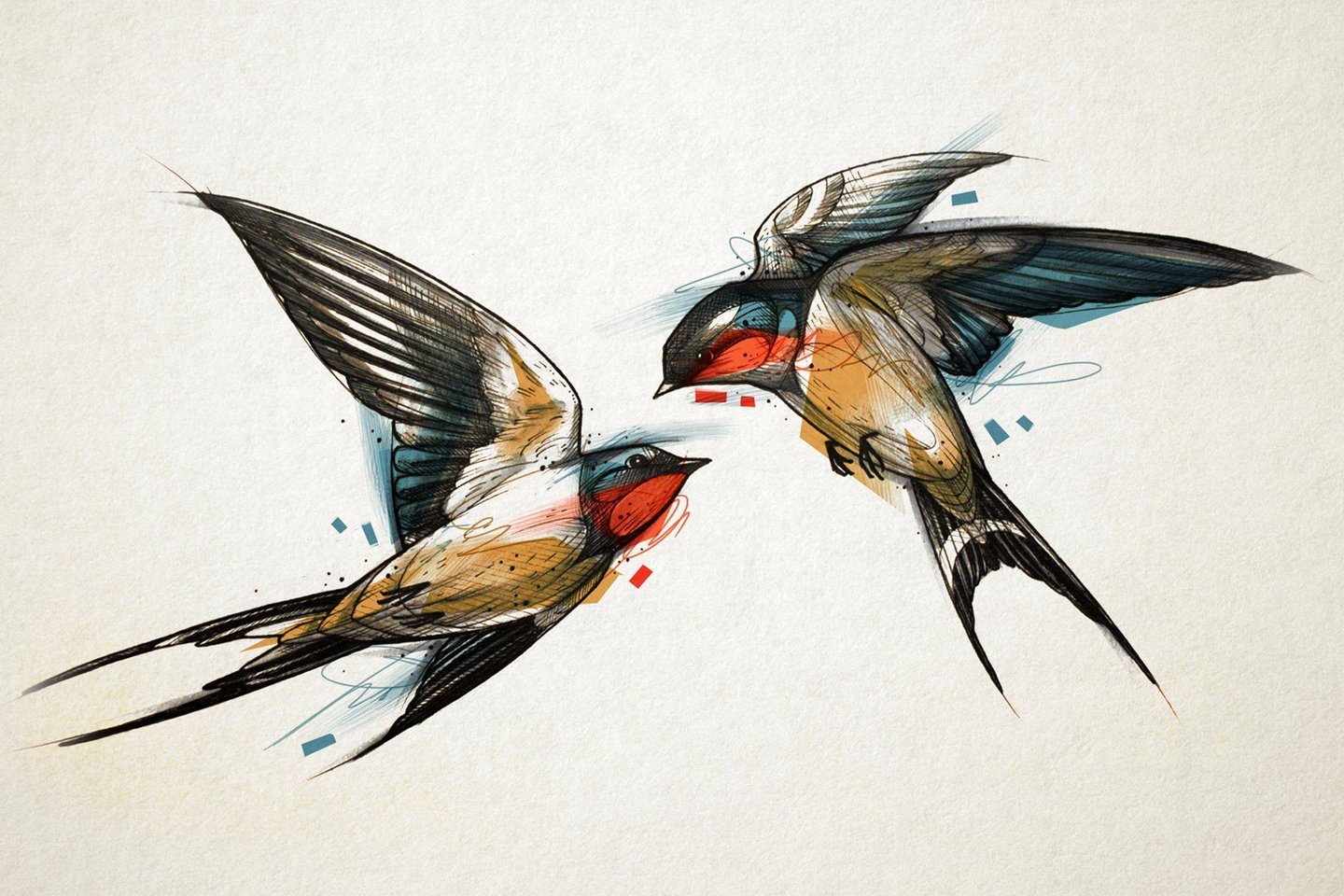 1636123261_1-flomaster-club-p-lastochka-risunok-tsvetnoi-krasivie-risunk-1 (1).jpg