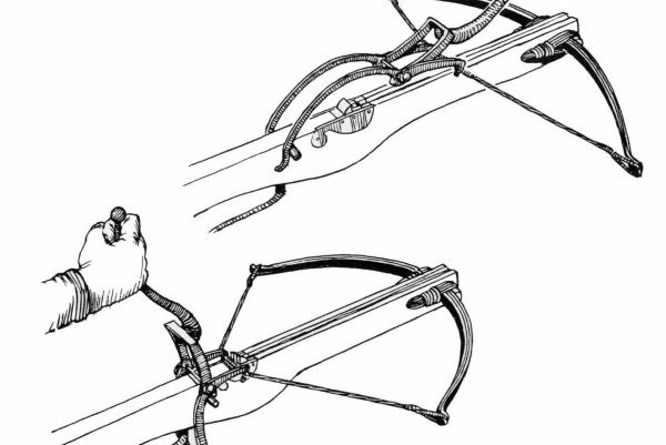 1648471799_16-papik-pro-p-posledovatelnii-risunok-arbalet-poetapno-16