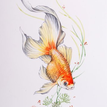 1655415025_5-papik-pro-p-tattoo-drawings-goldfish-5
