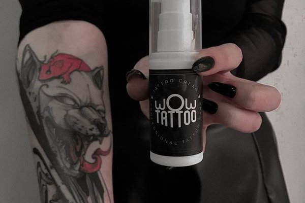 243525713_389603879399031_5625500461096765515_n