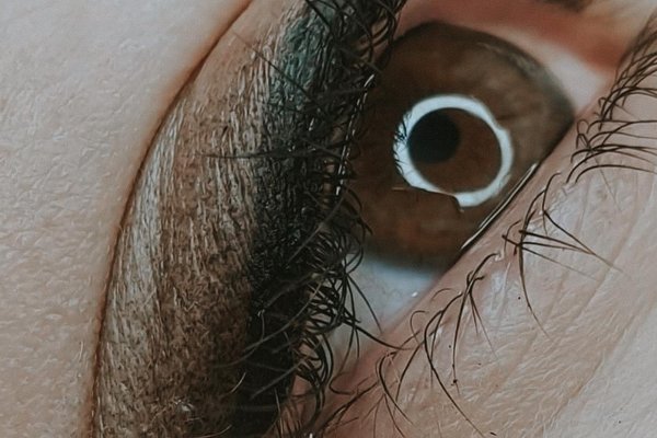 245656800_1916981648504793_3691614203521236849_n