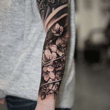 2629dc6b5a87877323796bd064e88342