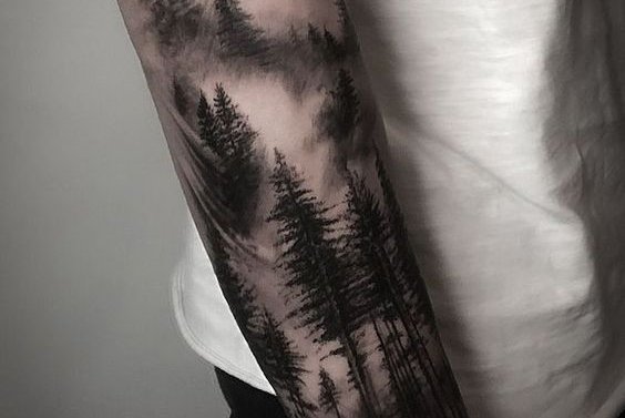 2d7558bcd34cb1a67c1267660fdda17b