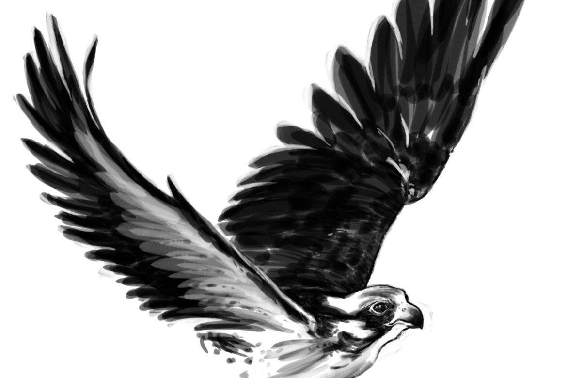 56576d0171ab709b9ead53d1b1ae66f5