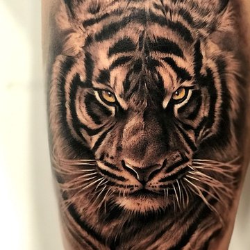 63482c183abc9545a4372631020ee185 — копия.jpg