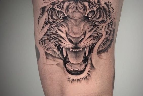 696ed32224637feacf2ba13c8f4cf3bc