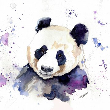 7564936-Purple-Panda-watercolour-print-Choose-from-A5-A4-A3-size--0.jpg