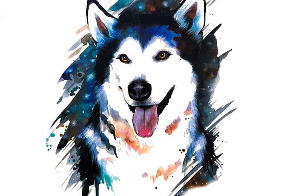 8449198-1 — копия.jpg