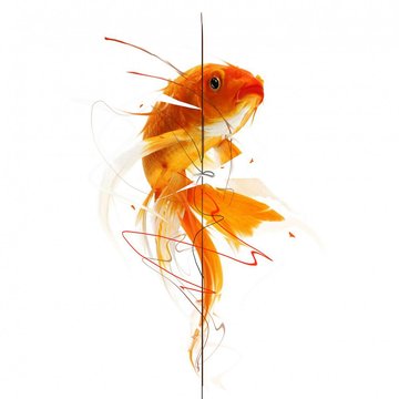 91c94ee3e91d3ce40b23ced357b409fe_hy.original.format-jpeg