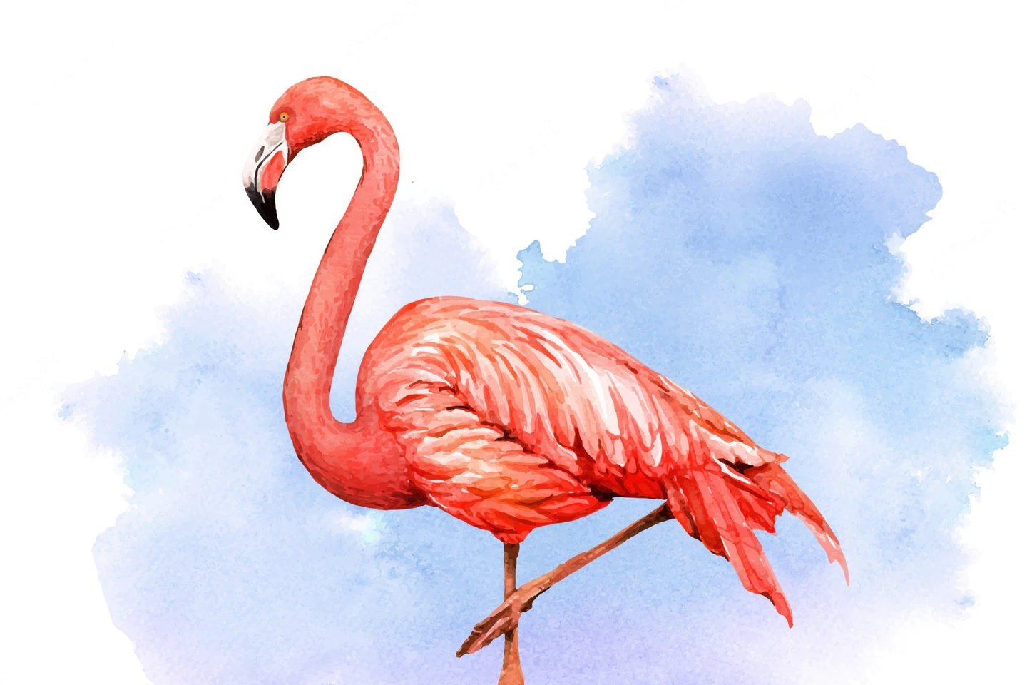 Inkedwatercolor-tropical-bird-flamingo-with-colorful-background_71209-76