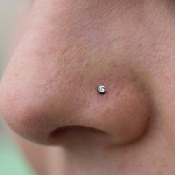 Nostril