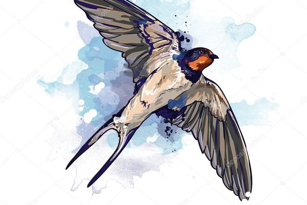 depositphotos_97444200-stock-photo-spring-bird-watercolor-swallow.jpg