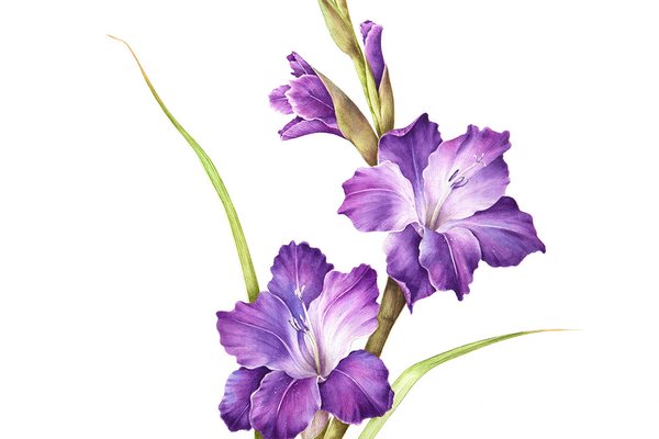 f75a3f70187945.5b9ac2f761deb