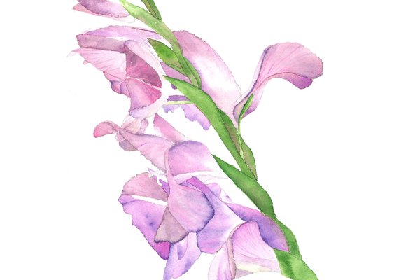 il_fullxfull.3583473759_eftc