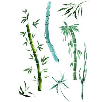 ori_3496575_2fbbc524326901c988ccb96ea00dac91f200d87c_exotic-bamboo-png-watercolor-set