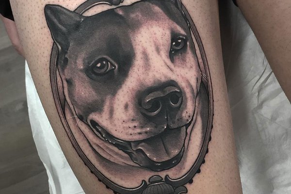 portret-sobaki-tatu-na-bedre.jpg