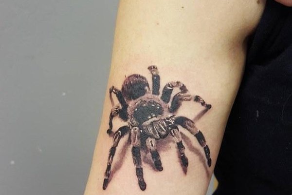 tattoo-spider-on-arm-6.jpg