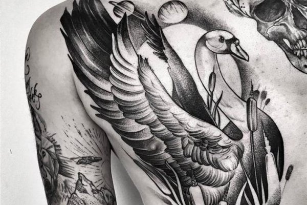 tatu_lebed_102 — копия.jpg