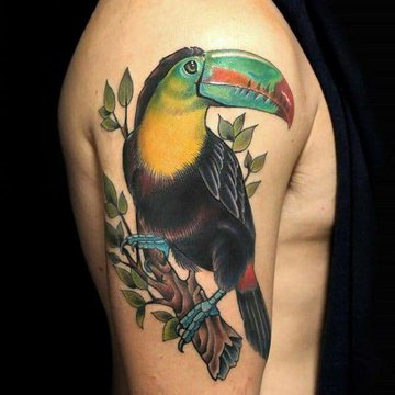 toucan-tattoos-male.original.format-jpeg (2).jpg