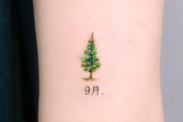tree-tattoo-designs-minimalist-green-small-pine.jpg