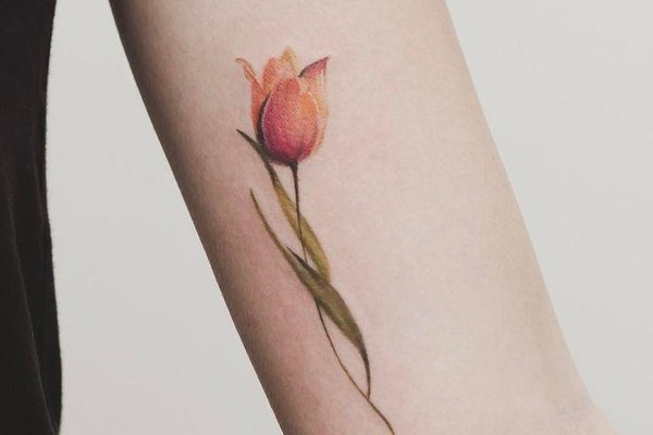 tulpan_arm1 — копия.jpg