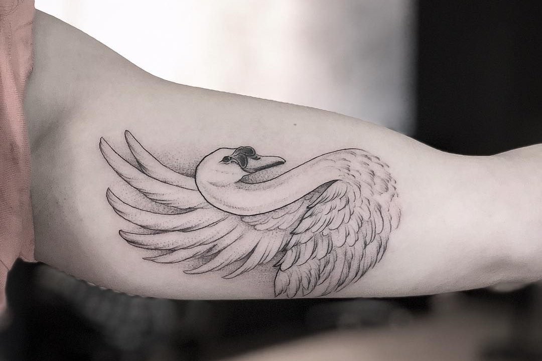 vse-o-tatu-lebed-2 — копия.jpg