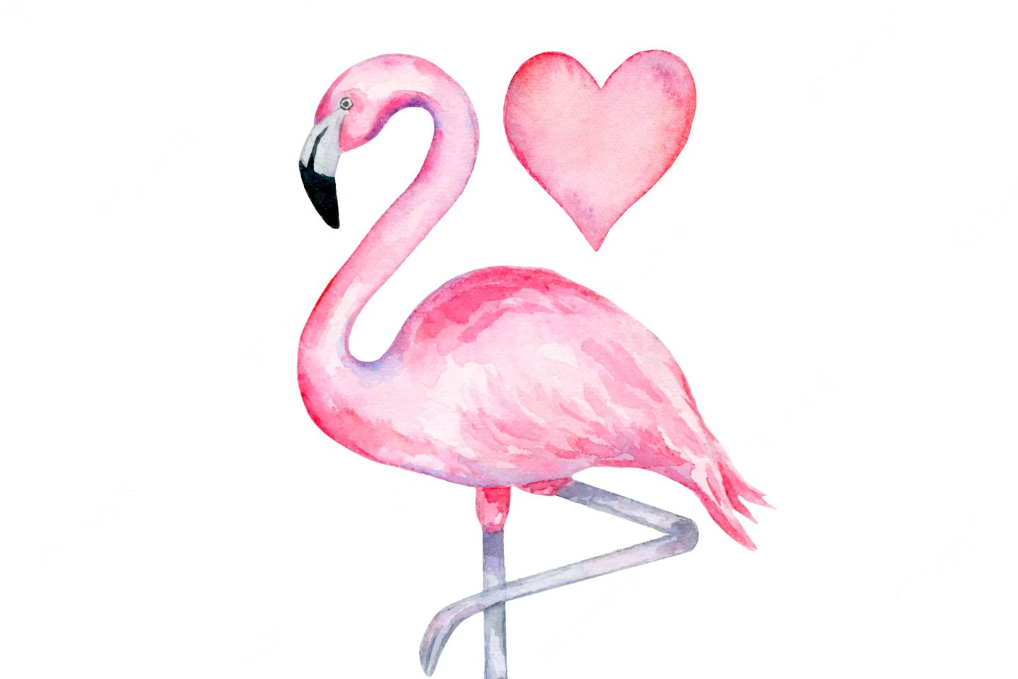 watercolor-pink-flamingo-standing-on-one-leg-with-a-heart_214720-139